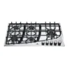 Parrilla A Gas Gaxeco Mod. PAC-5